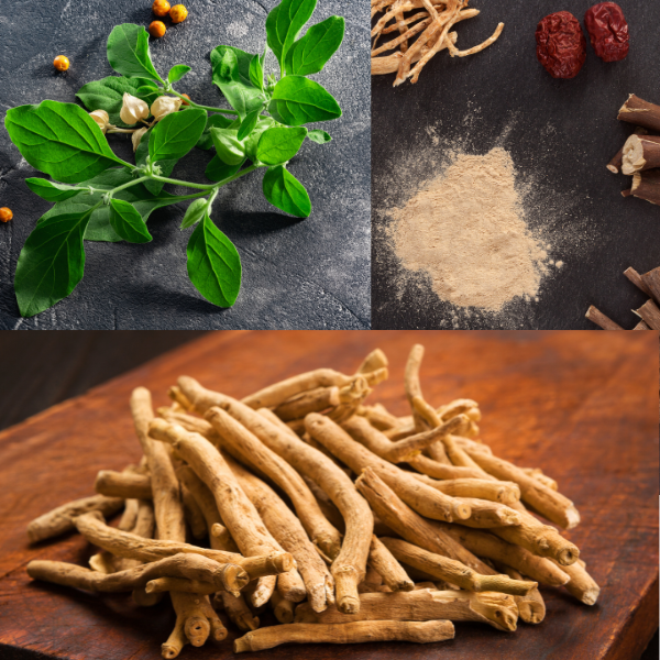 How to Use Ashwagandha for Stress Relief: A Complete Guide